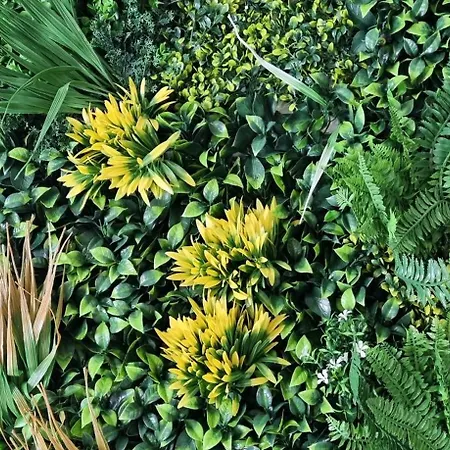 アパート Le Vegetal - 5 Min A Pied Du Centre Avec Jardin *